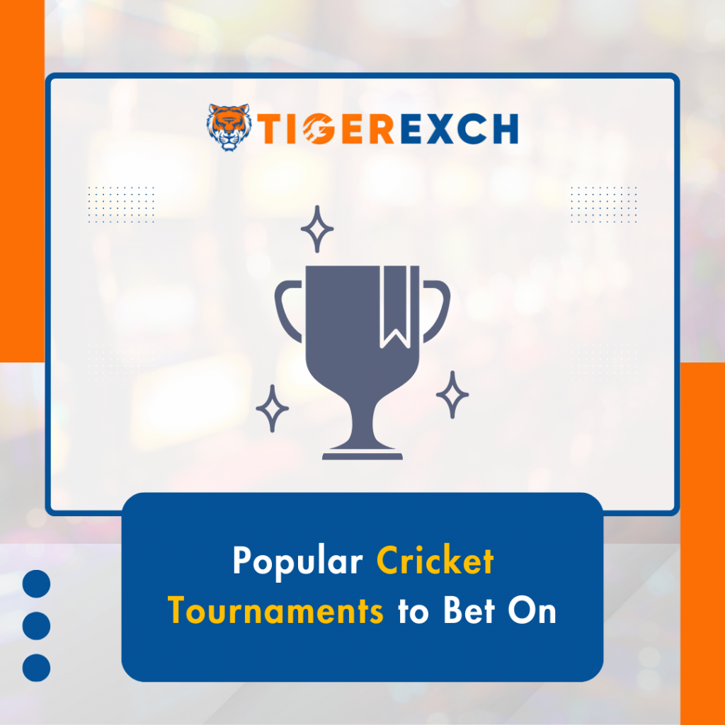 Cricket tournament illustration